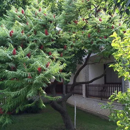 Guest house Koller Panzio 3*