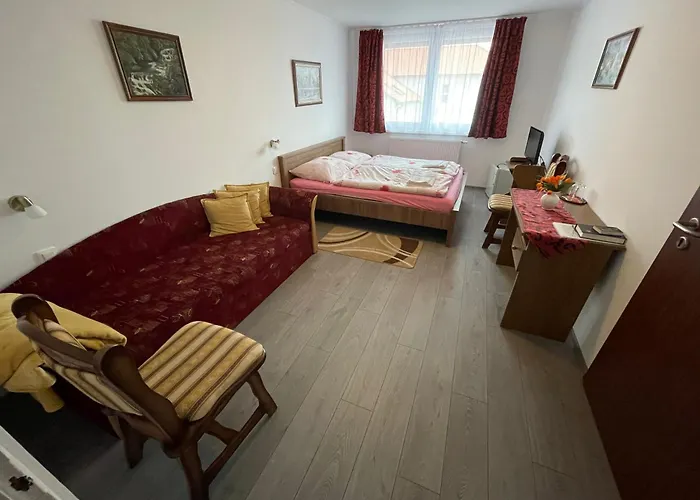 Koller Panzio 3*